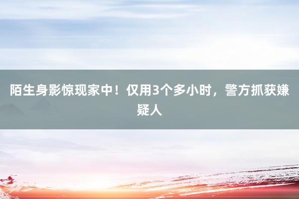 陌生身影惊现家中！仅用3个多小时，警方抓获嫌疑人